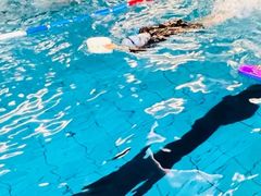 -硅谷蒙学幼儿园