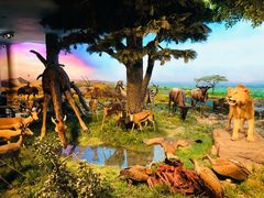 -国家自然博物馆