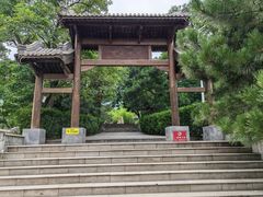 -阳台山自然风景区