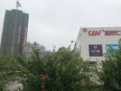 -CGV影城(金银潭激光IMAX店)