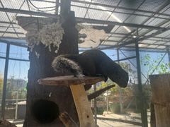 -芜湖新华联大白鲸海洋公园