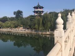 -莱西月湖公园
