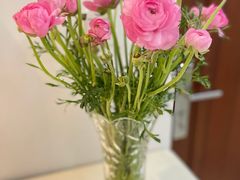 -双季花艺园艺市场(浦东店)