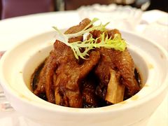 -宝园酒家(美林M·LIVE天地东座店)