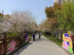 -高东镇樱花园