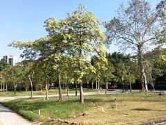-广东工业大学(大学城校区)