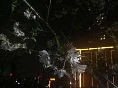 -悦江新远影城IMAX