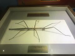 -上海昆虫博物馆