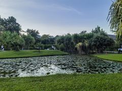 -中国科学院西双版纳热带植物园