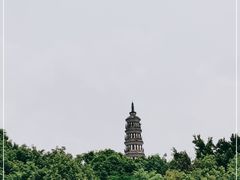 -顺峰山公园