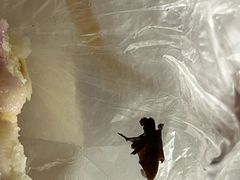 -王老大面(凤城六路店)