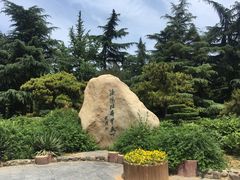 -西苑公园
