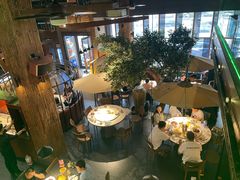 -三强鸽子(中原路店)