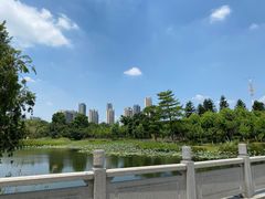 -映月湖公园