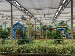 -南宫五洲植物乐园