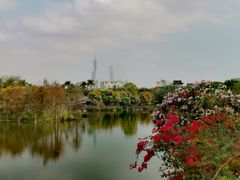 -海珠湖公园