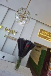 -MY WAY SALON
