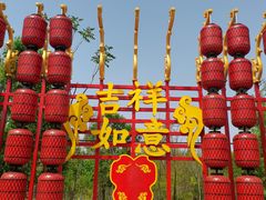 -西青郊野公园