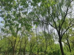 -秀水公园