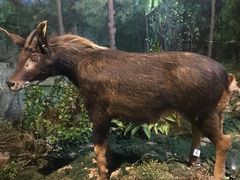 -陕西自然博物馆