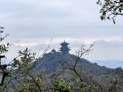 -杭州半山国家森林公园