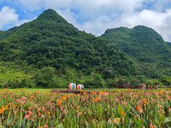 -靖西鹅泉风景区
