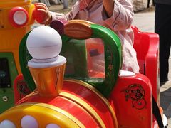 -长白岛森林公园