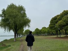 -漕湖湿地公园