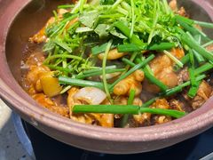 干逼炭炉鸡煲-顺德家厨(白云店)
