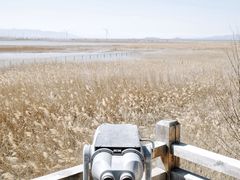 -野鸭湖国家湿地公园