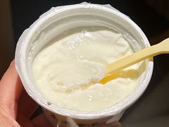 宫廷奶酪-奶酪魏(牛街总店)