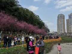 -望江楼公园