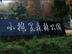 公园入口处-小格里自然风景区