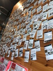 -菲林婚纱摄影工作室