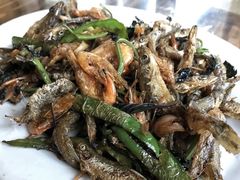 炸山坑鱼-竹庄餐馆·26年店(南昆山景区店)