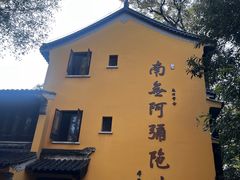 -灵谷景区