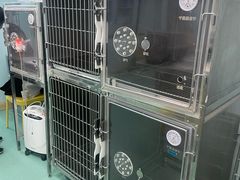 -北京观赏动物医院·24小时大型综合·猫专科·异宠专科