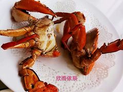 同安煎蟹-鑫悦楼煎蟹·16年海鲜大排档