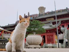 -上海东林寺(金山区)