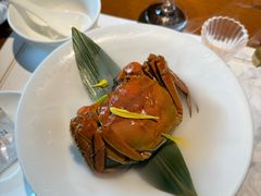 -觀芷隐轩