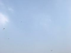 -东莞植物园