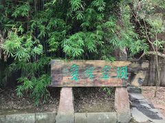 -蛇蟠岛
