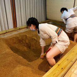 -敖东酵素·离子暖房