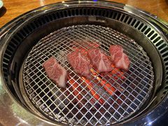 -观品和牛