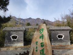 -阳台山自然风景区