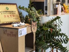 -御宝贝·A梦猫科宠物医院(国际猫友好医院)