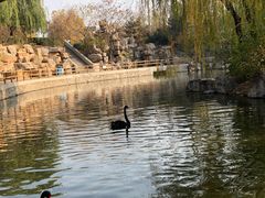 -石家庄市动物园