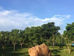 -广东外语外贸大学(白云山校区)