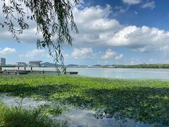 -高子水居