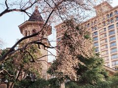 -上海浦东星河湾酒店